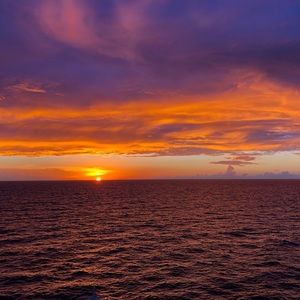 Meet your Posher, Daphné